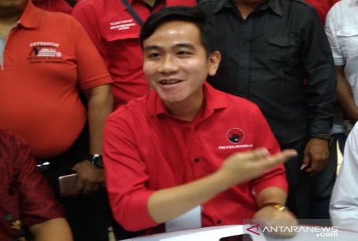 Luar Biasa, Partainya Yusril Dukung Anak dan Mantu Jokowi - GenPI.co