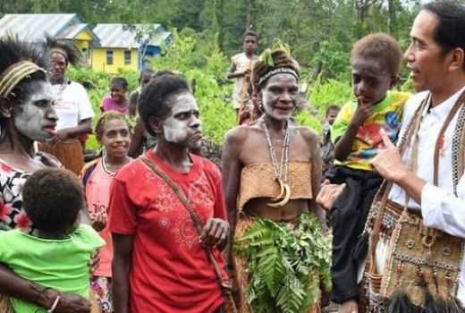 Kendalikan Karhutla, ini Sejumlah Langkah Jokowi - GenPI.co