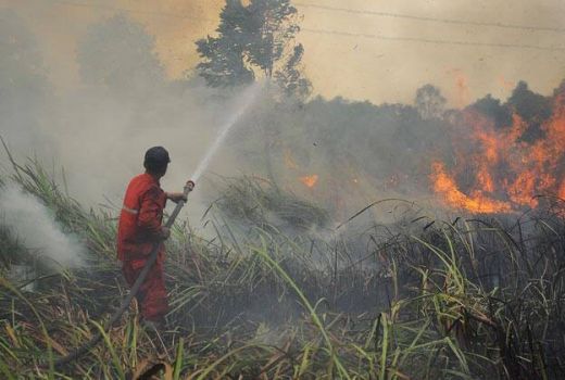 Kota Pekanbaru Diguyur Hujan, Warga: Alhamdulillah! - GenPI.co