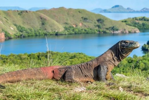 10 Pulau Terindah Dunia, Salah Satunya Ada di Indonesia Lho! - GenPI.co