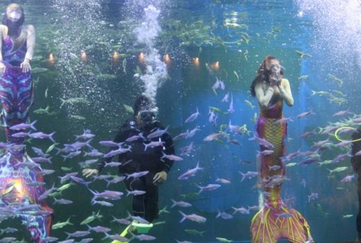 Seru! Atraksi Sulap Putri Duyung & Bajak Laut di Akuarium Ancol - GenPI.co