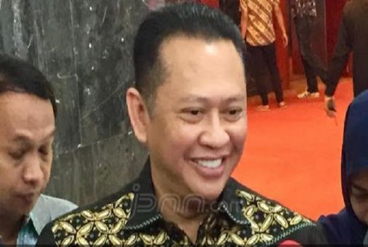 Pemkot Yogyakarta Larang Warganya Makan Daging Anjing - GenPI.co