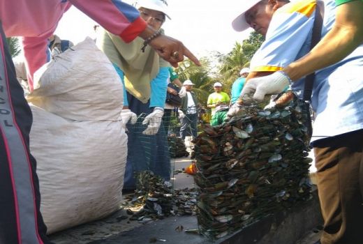 Bahaya, Kerang Hijau Teluk Jakarta Tak Layak Dimakan - GenPI.co
