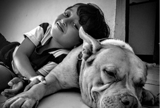 Ternyata Kunci Umur Panjang Manusia Ada di Anjing - GenPI.co