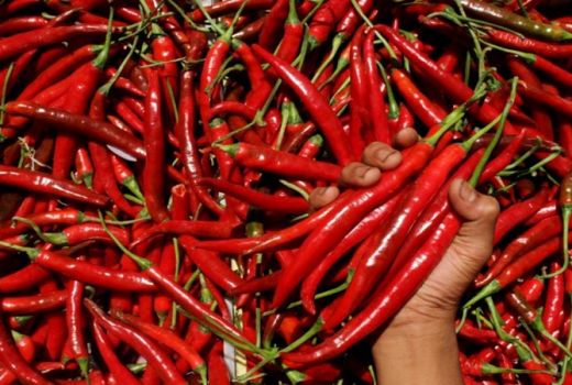 Catat! September 2019, Bukan Inflasi tapi Deflasi - GenPI.co