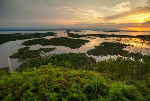 Menjelajahi Danau Sentarum Sambil Makan Madu, Hmmm Nikmat! - GenPI.co