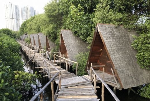 Menikmati Kesejukan Hutan Mangrove PIK - GenPI.co