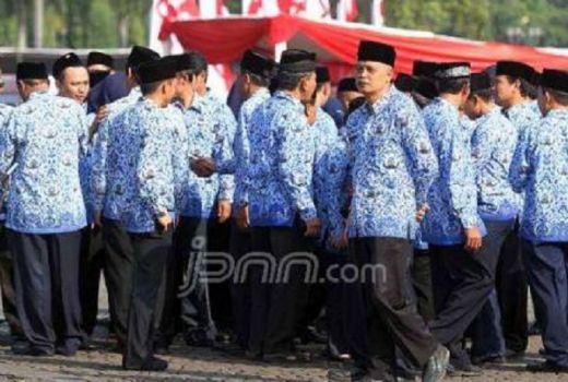 Catat Nih, Pemprov DKI Buka 3 Formasi CPNS Awal November - GenPI.co