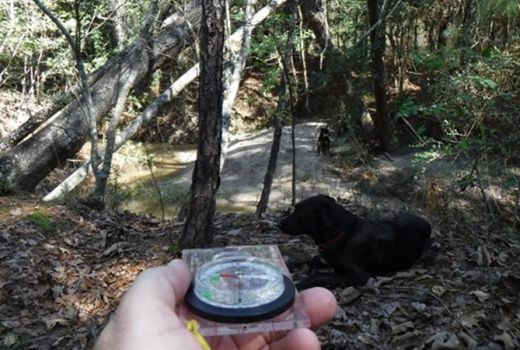 Kiat jika Tersesat saat Mendaki Gunung, Pertama Wajib Tenang - GenPI.co