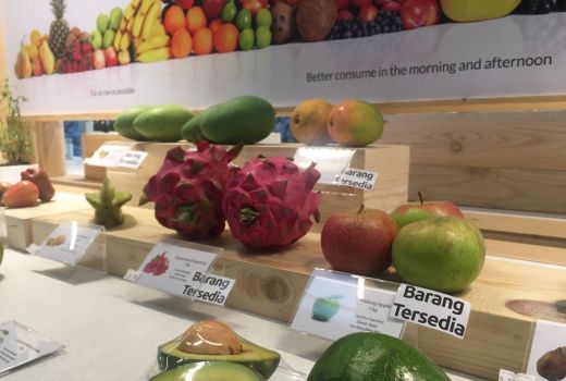 Hidup Sehat dengan Makanan Organik - GenPI.co