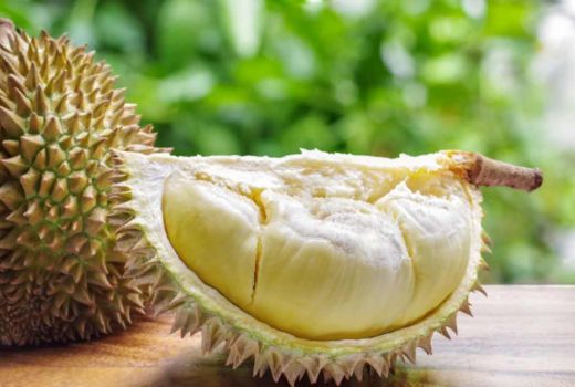 Kurangi Aroma dan Mual setelah Makan Durian dengan 4 Hal ini - GenPI.co