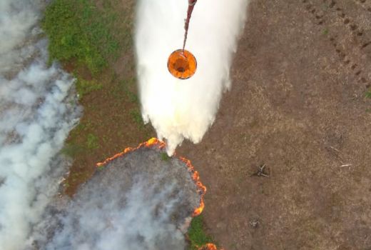 Kebakaran Hutan Hebat di Sumsel, BNPB Jatuhkan 36 Bom Air - GenPI.co