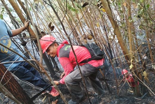 Asmara, Sang Pemadam Api yang Gugur Tertimpa Pohon Saat Karhutla - GenPI.co