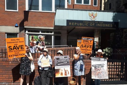 9 Juta Hektar Hutan Ditebang, PinmiID Ajak Boikot Industri Sawit - GenPI.co