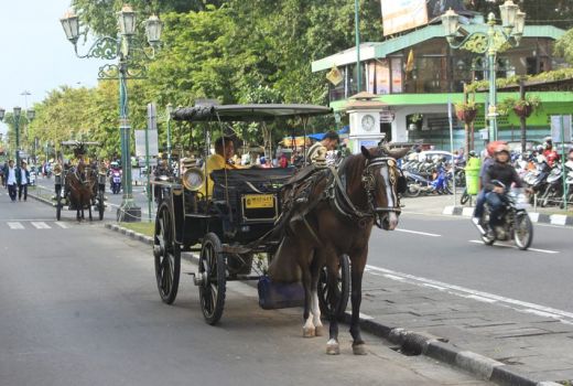 Netizen Dikejutkan Penampakan Andong Visioner, Seperti Apa? - GenPI.co