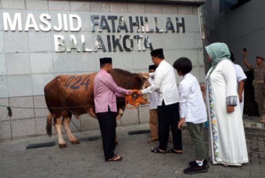 Distribusi Daging Kurban, Pemprov DKI Gaet Chef Hotel di Jakarta - GenPI.co