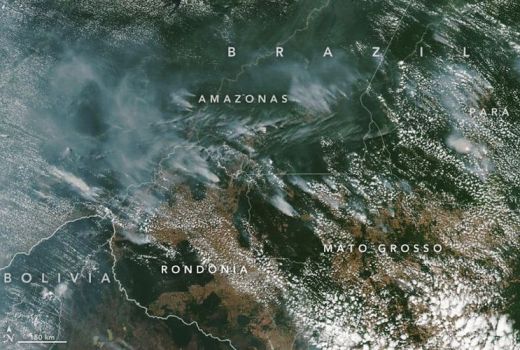 Ini Penampakan Kebakaran Hutan Amazon Dari Satelit NASA - GenPI.co