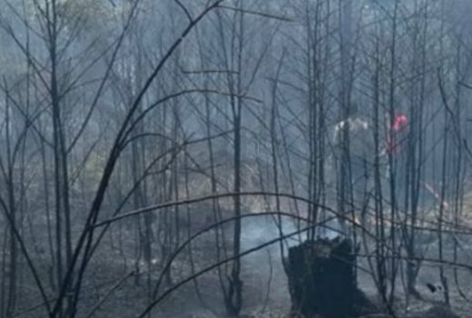 Ulah Warga, Kebakaran Hutan dan Lahan Meluas di Bintan-Kepri - GenPI.co
