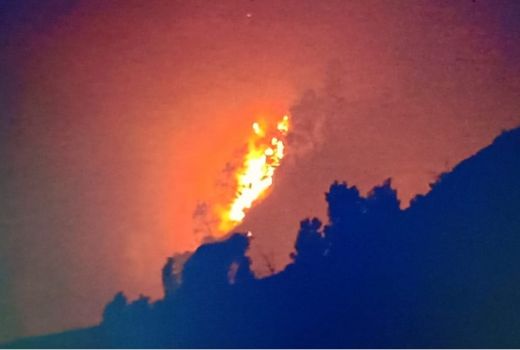 Hutan di Kawasan Kawah Ijen Dilalap si Jago Merah - GenPI.co