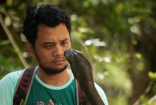 Panji Komentar Soal Ular Weling yang Gigit Satpam di Tangerang - GenPI.co