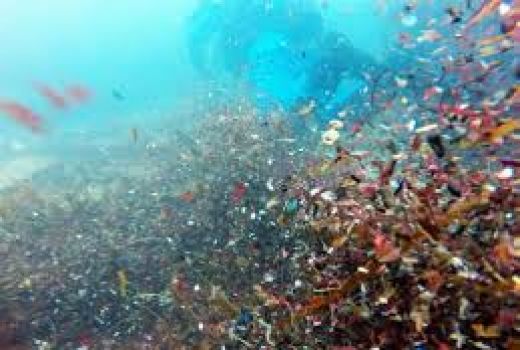 WHO Sebut Sampah Plastik Mikro dalam Tubuh Tak Bahaya, Benarkah? - GenPI.co