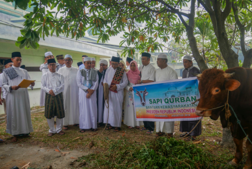 Presiden Jokowi Kurban Sapi Limosin Seberat 1 Ton di Riau - GenPI.co