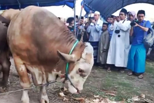 Di Lombok Timur, Besek Masih Kalah Pamor dengan Plastik Kresek - GenPI.co