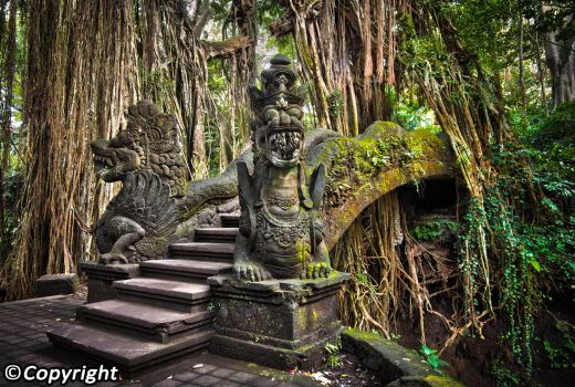 Pura Beji Forest Monkey Ubud, Tempat Bule Lecehkan Air Suci - GenPI.co