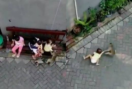 Seram, Video Rekam Seekor Monyet Seret Anak Balita - GenPI.co
