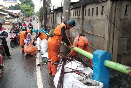 Awas, Wabah Penyakit Kencing Tikus Pascabanjir - GenPI.co