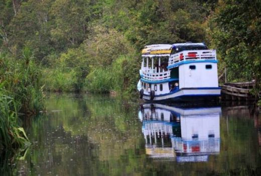 Sensasi Liar Seperti Hutan Amazon Bisa Kamu Alami di Sini - GenPI.co