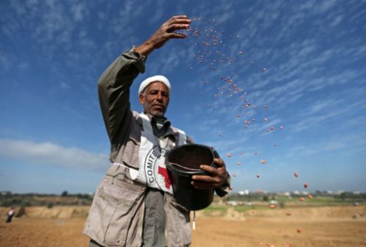 Hamas Kirim Teror dari Gaza, Israel Balas dengan ini - GenPI.co