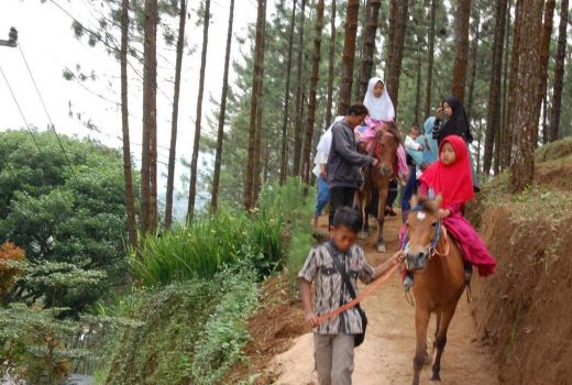 Cara Unik Ben Dina Hills Purbalingga Berdayakan Warga Sekitar - GenPI.co