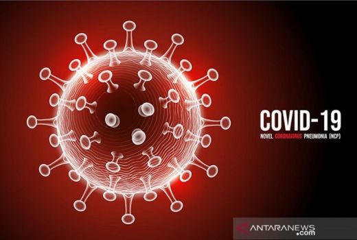 Kasus COVID-19 Global Sudah lebih dari 7 Juta Orang - GenPI.co