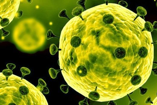 Ternyata  ini Biang Virus Corona yang Tengah Mengancam Dunia - GenPI.co