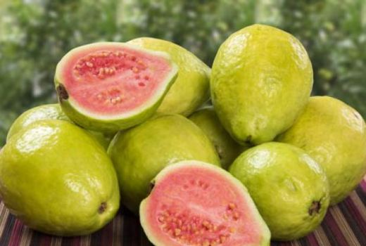 Jambu Biji Ampuh Tangkal Virus Corona? Cek Faktanya! - GenPI.co
