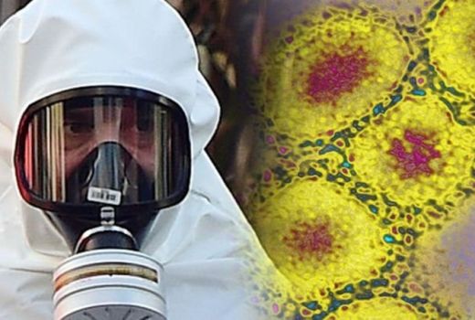 Penyebarannya Resahkan Dunia, Ini Fakta Wabah Virus Corona - GenPI.co