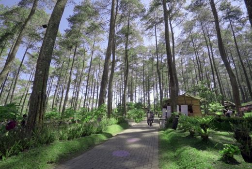 5 Destinasi Wisata Bandung yang Paling Instagramable - GenPI.co