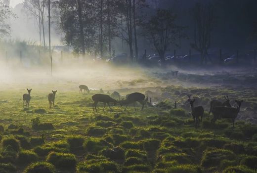 4 Tempat Wisata Alam di Bandung Selatan, Liburan Makin Menawan - GenPI.co