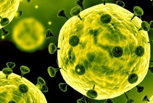 Virus Corona Wuhan Diciptakan Di Lab? - GenPI.co
