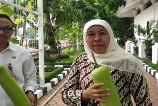 Jahe Temulawak Bisa Tangkal Virus Corona, Khofifah Angkat Bicara - GenPI.co