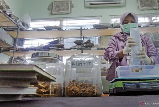 Peneliti Kedokteran UI: Herbal Tidak Bisa Mengobati Virus Corona - GenPI.co