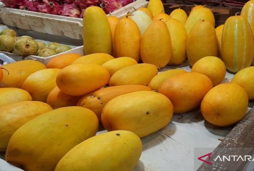 Timun Suri Tak Lagi Berseri di Ramadan Ini - GenPI.co