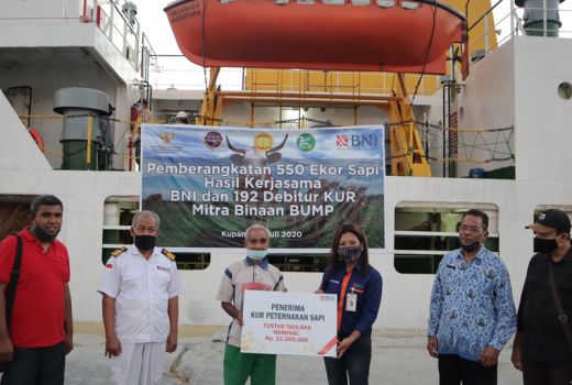 Cara BNI Bangkitkan Kesejahteraan Peternak Sapi di Kupang Top! - GenPI.co