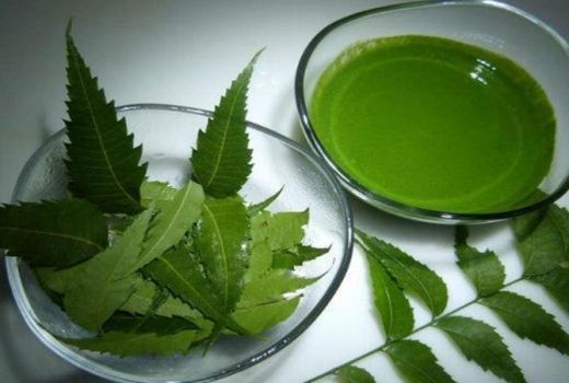 Ingin Rambut Bebas Ketombe? Atasi dengan Daun Neem - GenPI.co