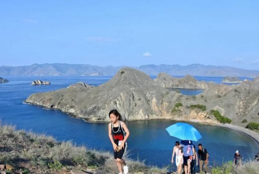 Mau ke Pulau Komodo dan Padar? Baca Ini Dulu - GenPI.co