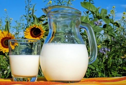 Susu Dingin vs Hangat, Mana yang Lebih Sehat Diminum Pagi Hari? - GenPI.co