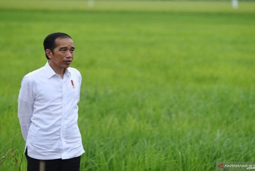 PKS Tuding Jokowi Jangan Balik Badan, Jleb Banget - GenPI.co