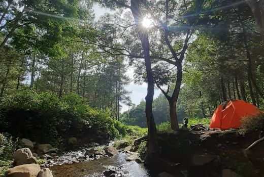 Tempat Camping Ciamik di Malang, Bikin Nggak Mau Pulang - GenPI.co
