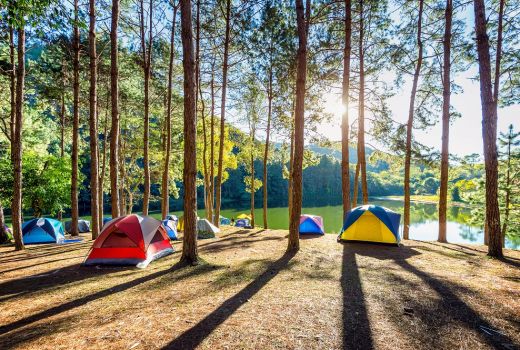Tempat Camping Seru Sekitar Jakarta, Cocok Untuk Liburan Singkat - GenPI.co